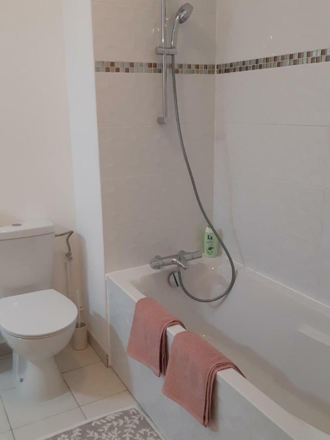 Le Carre Des Fleurs Apartment Strasbourg Exterior photo